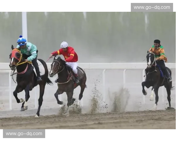 阵容马术:驾驭团队与赛道的艺术 阵容马术:驾驭团队与赛道的艺术